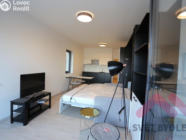 Rent apartment 1+KK Praha, U Mlýnského kanálu 699/18 č. 8