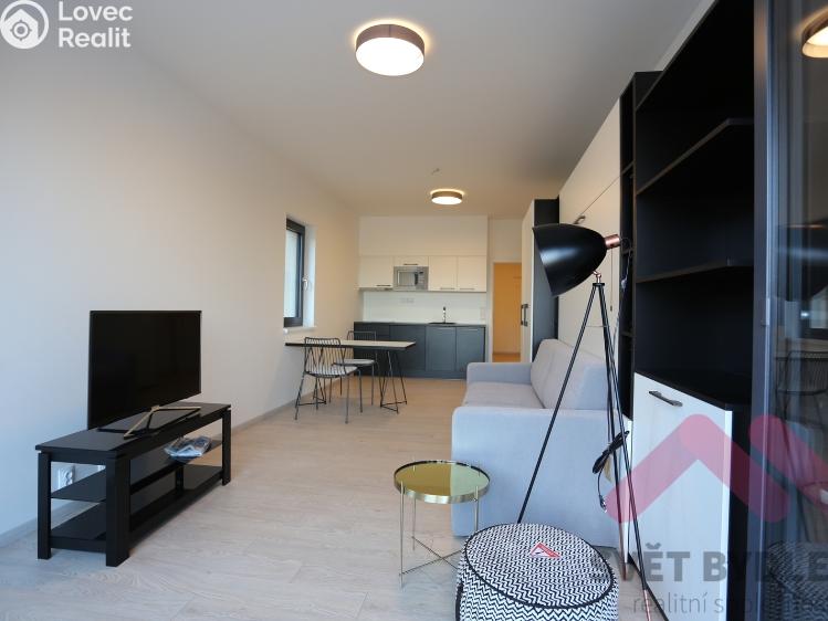Rent apartment 1+KK Praha, U Mlýnského kanálu 699/18 č. 9