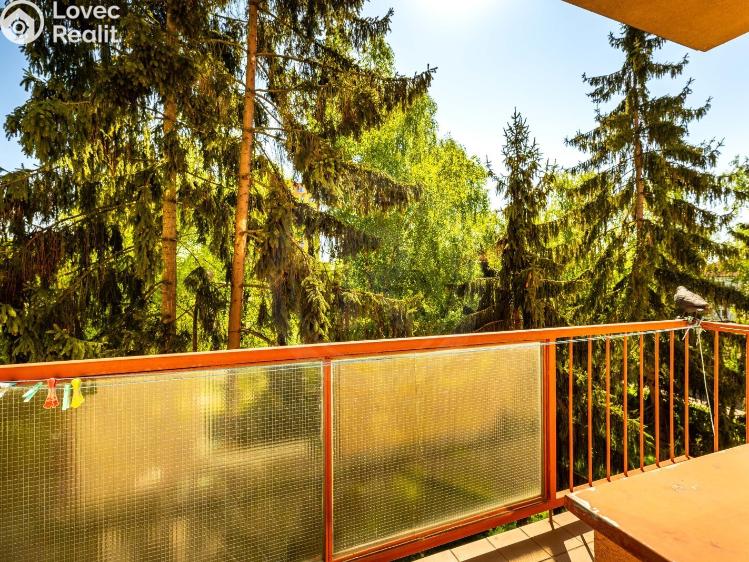 Pronájem bytu 2+1 České Budějovice, Plzeňská 606/67 č. 16