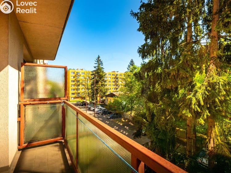 Pronájem bytu 2+1 České Budějovice, Plzeňská 606/67 č. 17