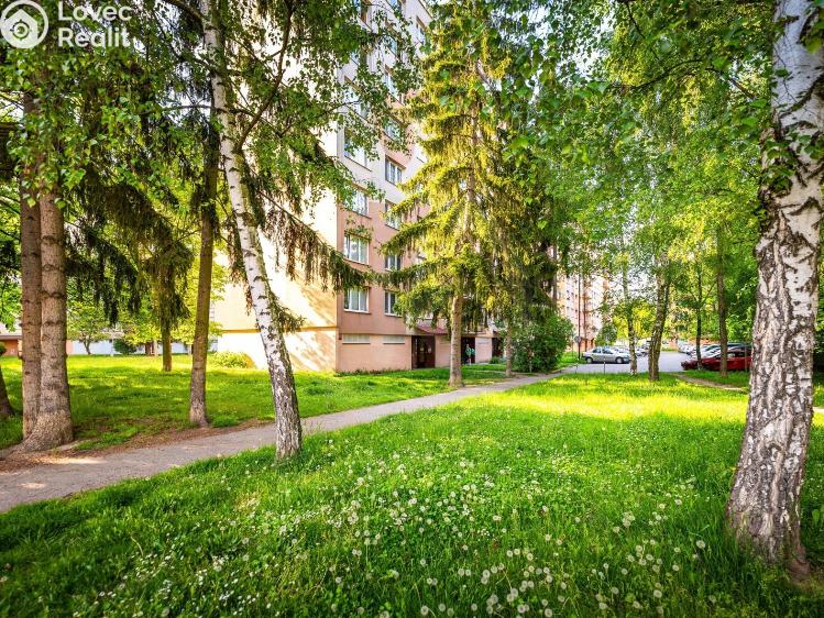 Pronájem bytu 2+1 České Budějovice, Plzeňská 606/67 č. 22