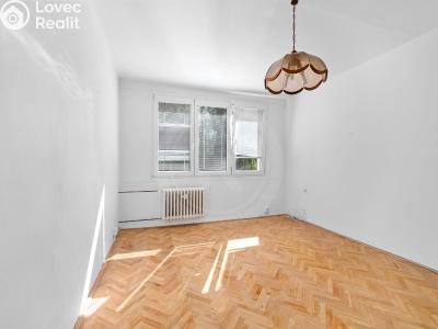 Pronájem bytu 2+1 České Budějovice, Plzeňská č. 3