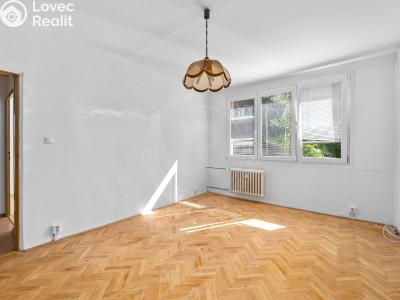 Pronájem bytu 2+1 České Budějovice, Plzeňská č. 4