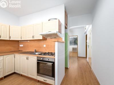 Pronájem bytu 2+1 České Budějovice, Plzeňská č. 6