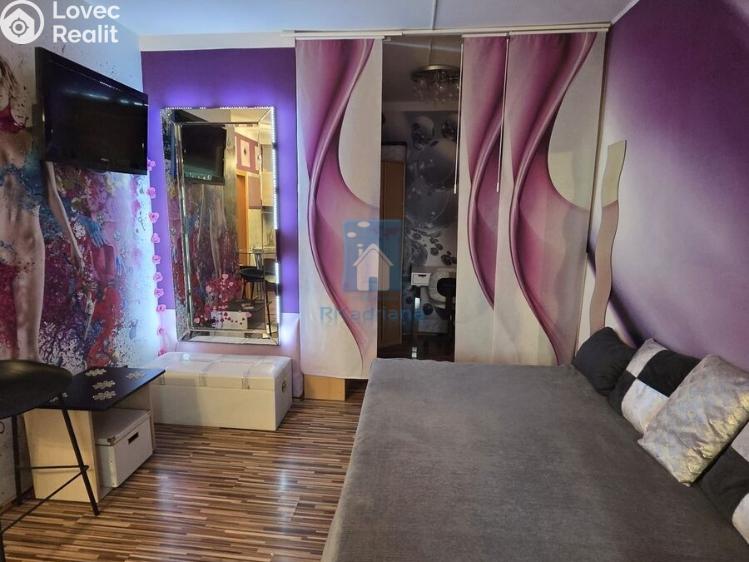 Pronájem bytu 1+KK Plzeň, Koterovská č. 2