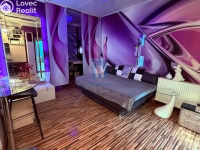 Pronájem bytu 1+KK Plzeň, Koterovská č. 1