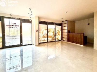 Prodej obchodního prostoru Praha, Za Karlínským přístavem č. 4