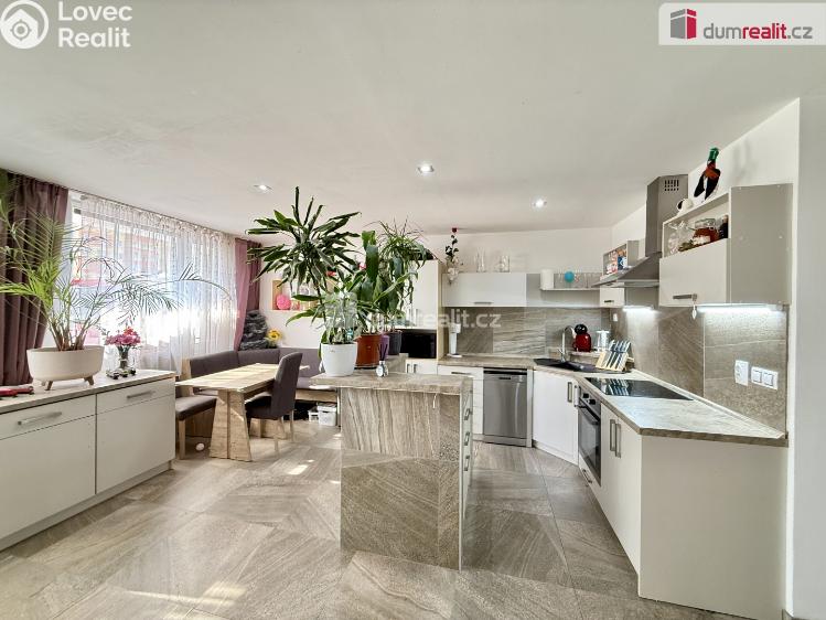 Prodej bytu 3+KK Štětí, Obchodní č. 7