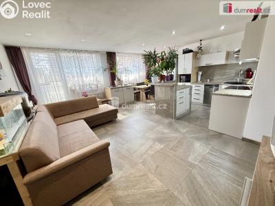 Prodej bytu 3+KK Štětí, Obchodní č. 1