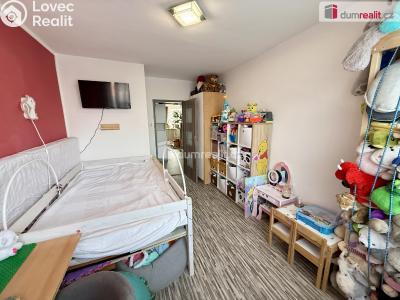 Prodej bytu 3+KK Štětí, Obchodní č. 4