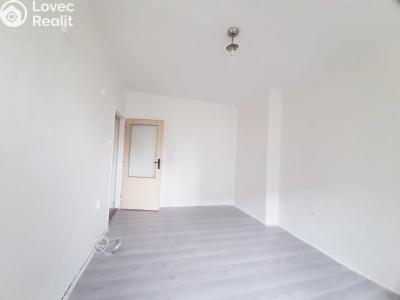 Pronájem bytu 1+KK Karviná, Závodní č. 4