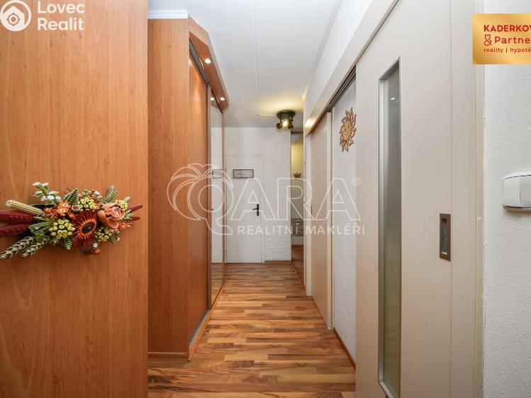 Prodej bytu 3+1 Brno, Dunajská 165/33 č. 13