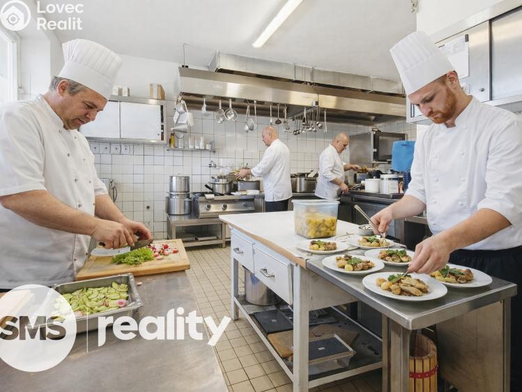 Prodej komerční nemovitosti Březí, Dunajovická 15 č. 11