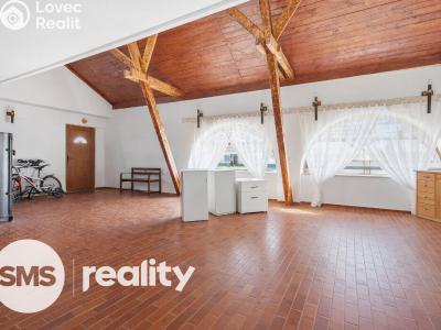 Sale commercial properties Březí, Dunajovická 15 č. 3