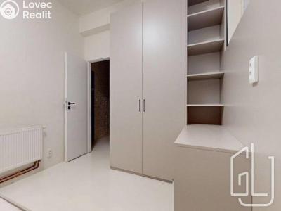 Pronájem bytu 3+KK Praha, Krakovská č. 1