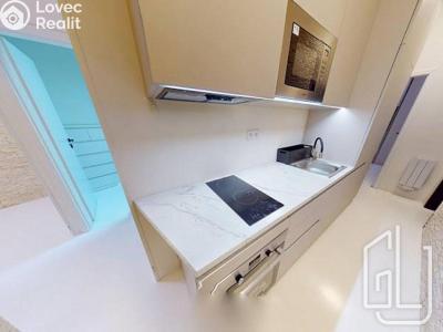 Pronájem bytu 3+KK Praha, Krakovská č. 3