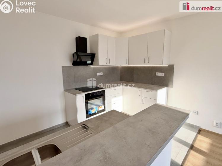 Pronájem bytu 3+KK Ústí nad Labem, Pod Parkem č. 10