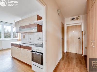 Продажа квартиры 3+1 Písek, Jiráskovo nábř. 1823 č. 4