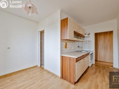 Продажа квартиры 3+1 Písek, Jiráskovo nábř. 1823 č. 6