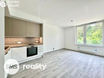 Pronájem bytu 1+KK Český Krumlov, Za Jitonou 257 č. 1