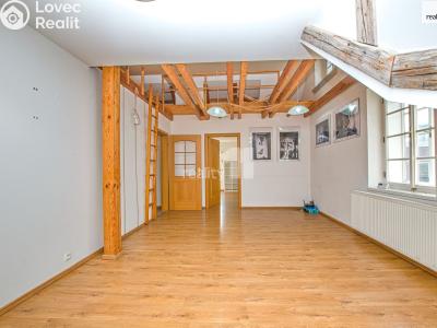 Pronájem bytu 2+KK Liberec, Barvířská č. 4