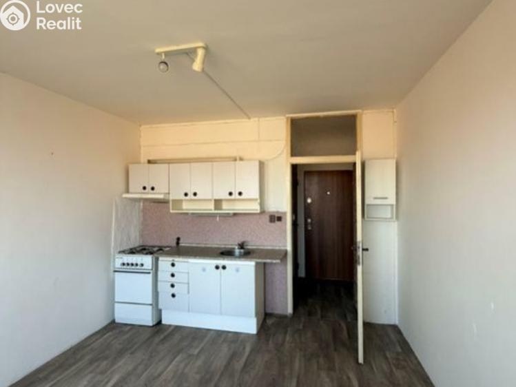 Pronájem bytu 1+1 Jirkov, SNP č. 3