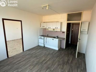 Pronájem bytu 1+1 Jirkov, SNP č. 2