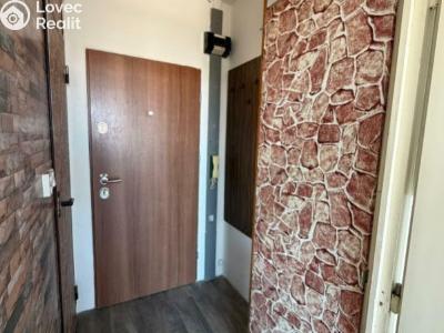 Pronájem bytu 1+1 Jirkov, SNP č. 4