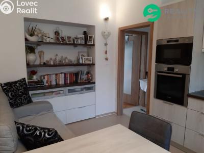 Pronájem bytu 2+1 České Budějovice, Heydukova č. 4