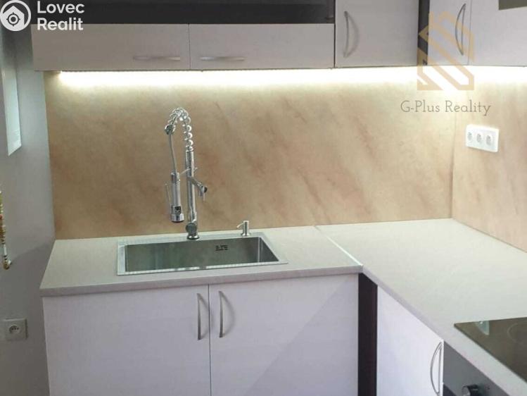 Pronájem bytu 1+1 Ústí nad Labem, Čajkovského 5194 č. 3