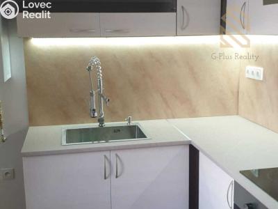 Pronájem bytu 1+1 Ústí nad Labem, Čajkovského 5194 č. 3