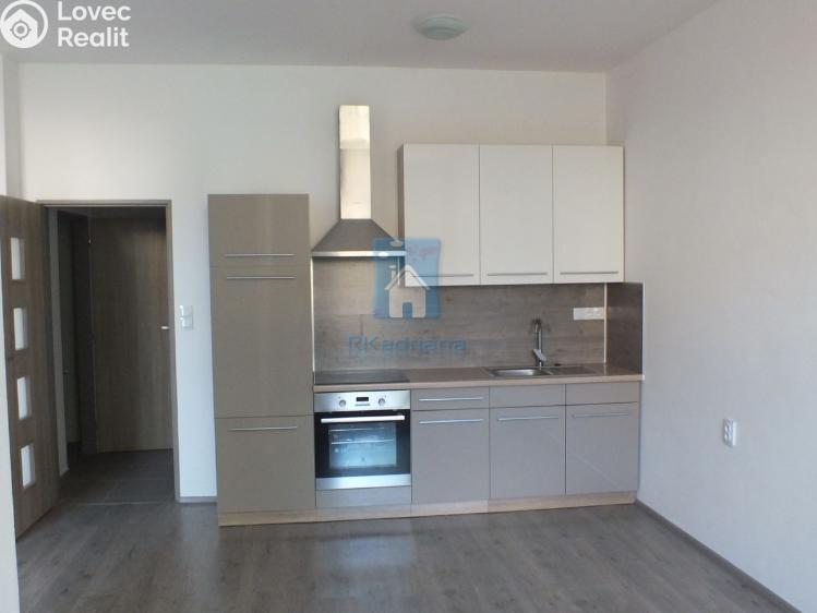 Pronájem bytu 1+KK Plzeň, Rubešova č. 1