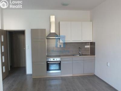 Pronájem bytu 1+KK Plzeň, Rubešova č. 1