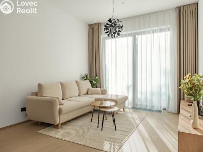 Pronájem bytu 2+KK Brno, Leitnerova č. 4