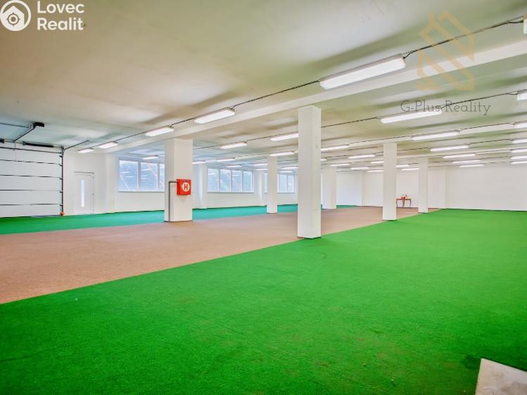 Pronájem obchodního prostoru Polepy č. 8