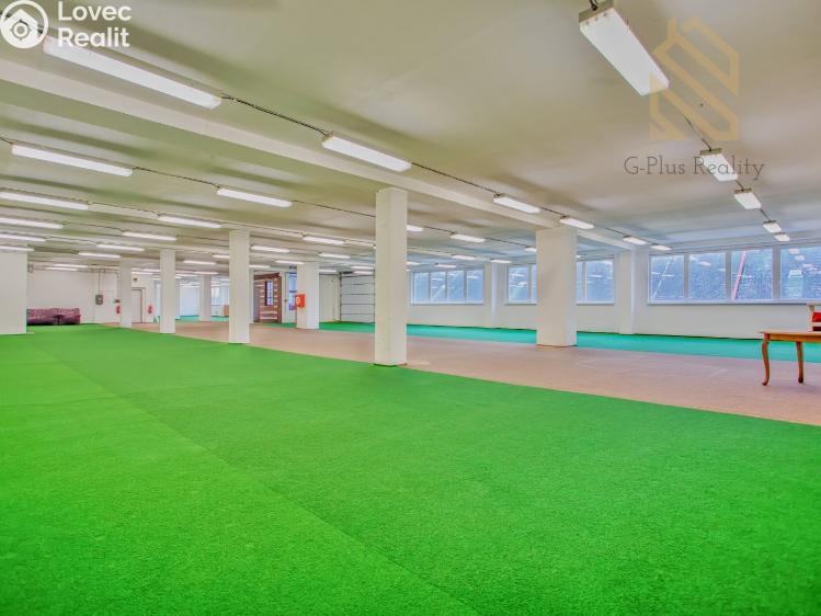 Pronájem obchodního prostoru Polepy č. 9