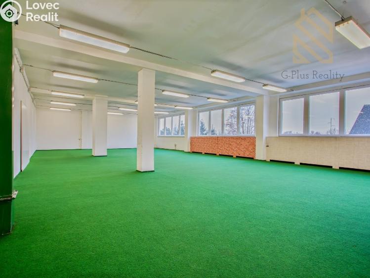 Pronájem obchodního prostoru Polepy č. 19