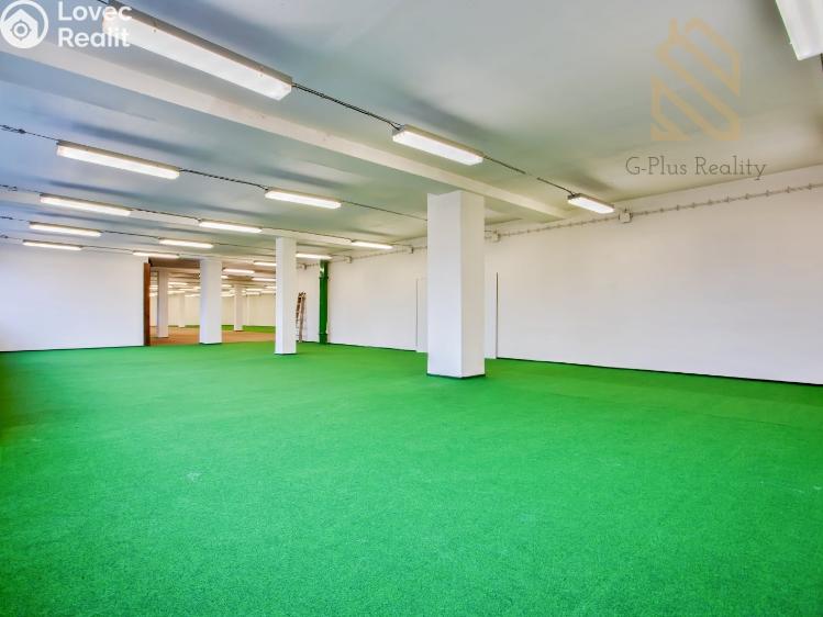 Pronájem obchodního prostoru Polepy č. 20