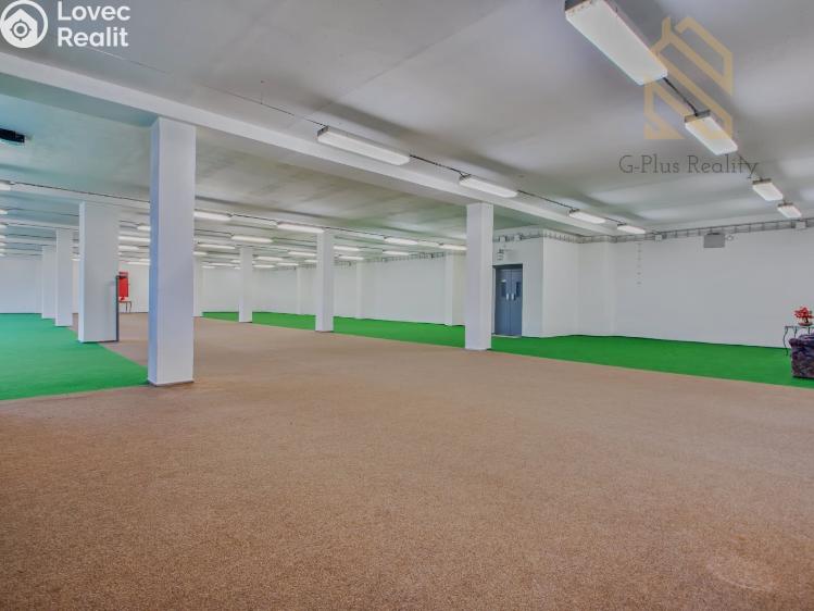 Pronájem obchodního prostoru Polepy č. 21