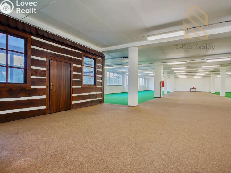 Pronájem obchodního prostoru Polepy č. 22