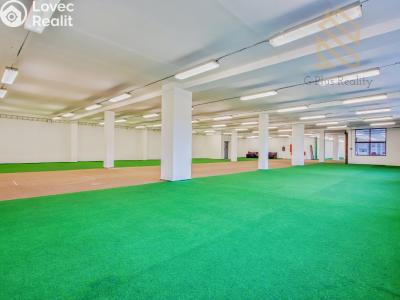 Pronájem obchodního prostoru Polepy č. 1