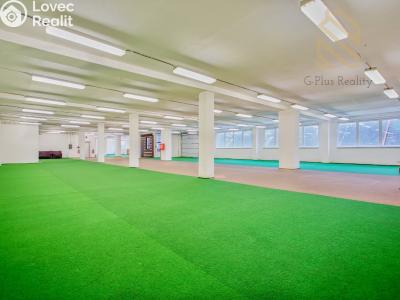 Pronájem obchodního prostoru Polepy č. 3