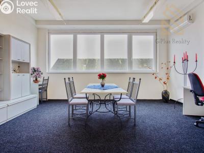 Pronájem obchodního prostoru Polepy č. 6