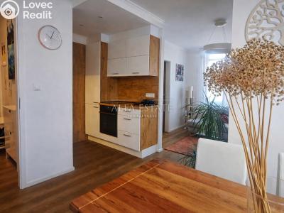 Продажа квартиры 3+KK Karlovy Vary, Lomená č. 2