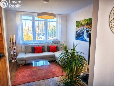 Продажа квартиры 3+KK Karlovy Vary, Lomená č. 3