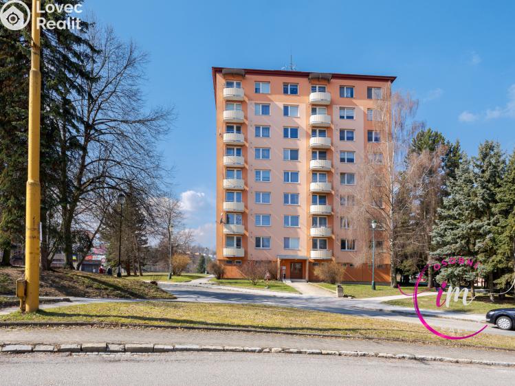 Prodej bytu 1+1 Jihlava, Březinova č. 1