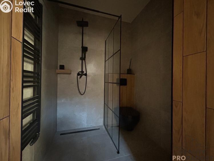 Pronájem bytu 2+1 Hodonín, Měšťanská č. 9