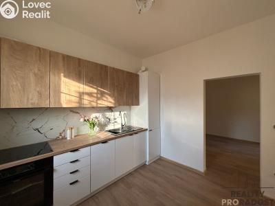 Pronájem bytu 2+1 Hodonín, Měšťanská č. 1