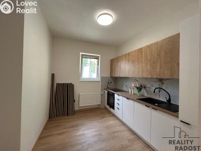 Pronájem bytu 2+1 Hodonín, Měšťanská č. 1