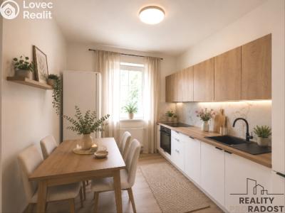 Rent apartment 2+1 Hodonín, Měšťanská č. 1